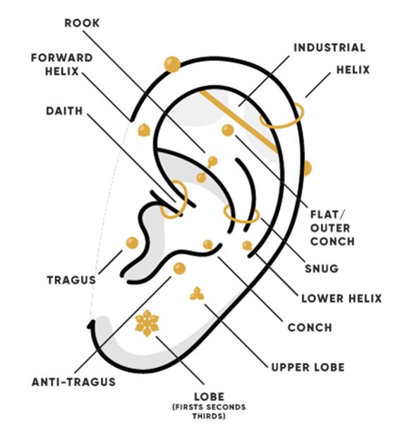 piercings for curated ears